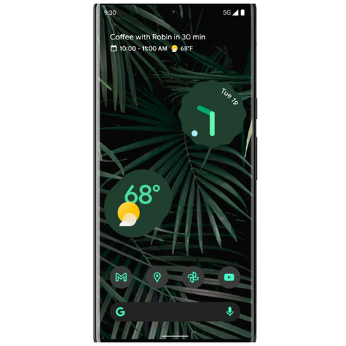 Google Pixel 6 Pro